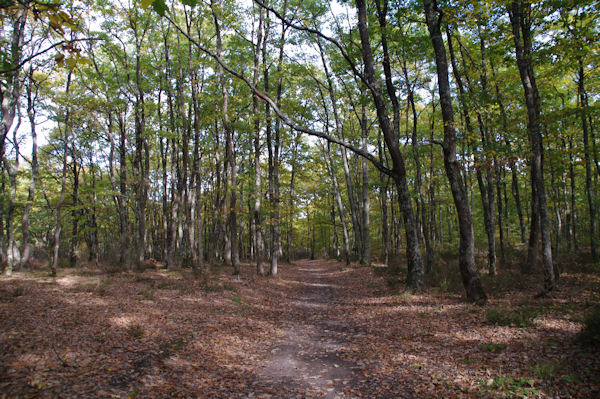 En fort de Buzet vers Laque du Gorp