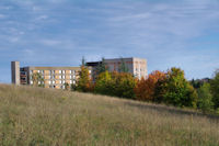 L_Hopital Larrey au couleurs d_automne