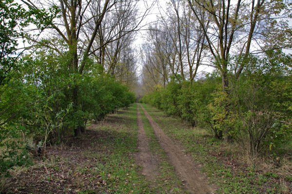 La piste Robert Thomas  la sortie de Pouvouville