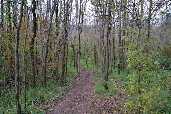 La piste Robert Thomas dans la descente vers la valle de la Garonne