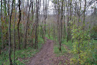 La piste Robert Thomas dans la descente vers la valle de la Garonne