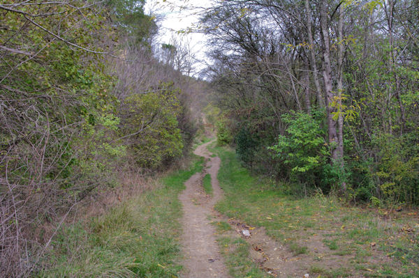 Le sentier remontant vers l_oppidum gaulois de Cluzel 