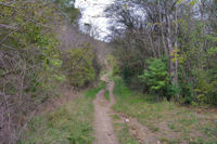 Le sentier remontant vers l_oppidum gaulois de Cluzel 