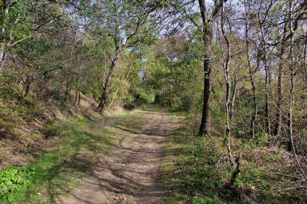 Le sentier remontant vers l_oppidum gaulois de Cluzel 