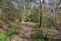 Le sentier remontant vers l_oppidum gaulois de Cluzel 