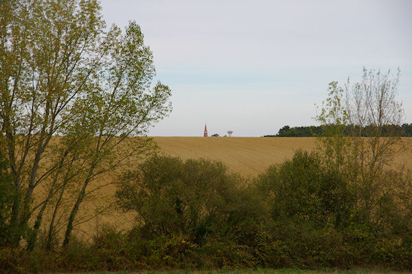 Le clocher de l'glise de Ste Foy de Peyrolires dpasse des crtes des Graves