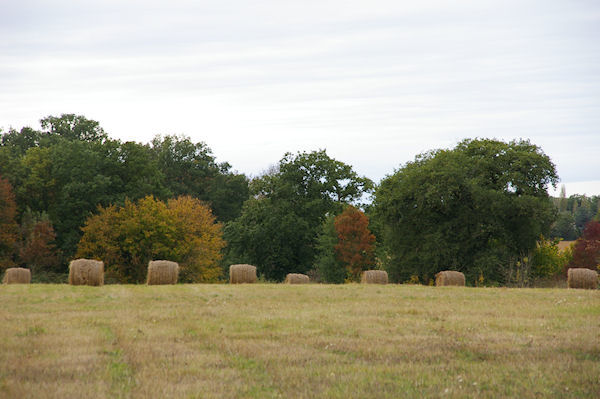 Paysage vers Le Moulin
