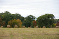 Paysage vers Le Moulin