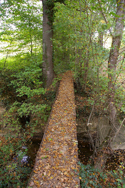 Petit pont sur la Saudrune