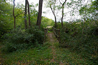 Petit pont sur le Ninet entre Millet et Beaufort