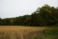 Paysage d'automne prs du ruisseau de Ninet