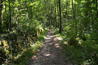 Dans les bois vers le Bergan