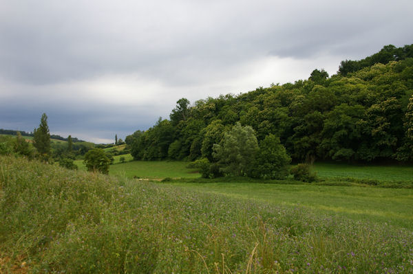 Le vallon du ruisseau de Rodes sous le Cap de Portet