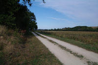 Le GR86 en bordure du Lanot dans la valle de la Nre