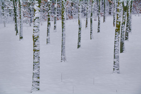 Alignement hivernal