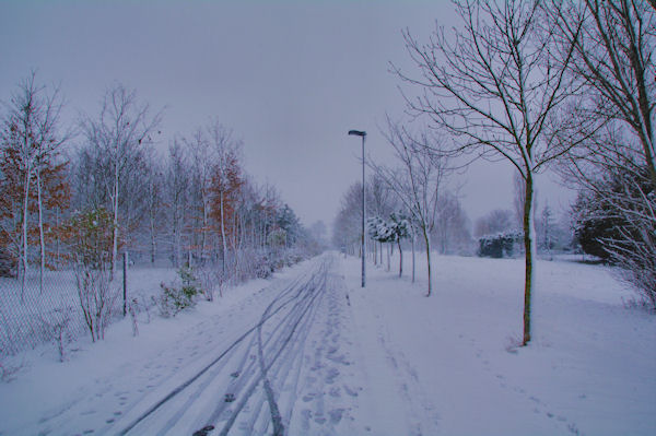 Le Parc de la Plaine sous la neige