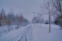 Le Parc de la Plaine sous la neige