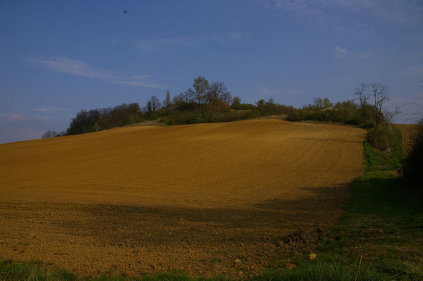 Paysage  Portetny