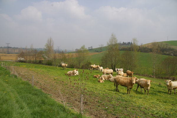 Depuis la D48b en remontant vers La Mtairie