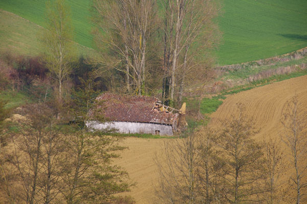 Un grange en ruine sous l_Escarre