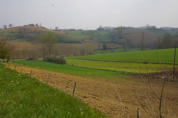 Le vallon du ruisseau d_Auban depuis La Mtairie sur la D48b