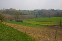 Le vallon du ruisseau d'Auban depuis La Metairie sur la D48b