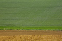 Effet de couleur entre La Mtairie et Roussel