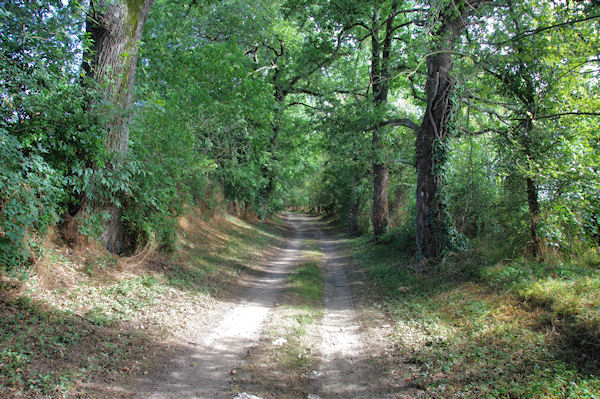 Le chemin vers le chateau Bouville