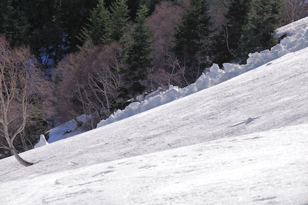 Coule de neige provenant de la crte de Tchoude