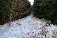 Une coulee de neige dans le Bois d'Echere