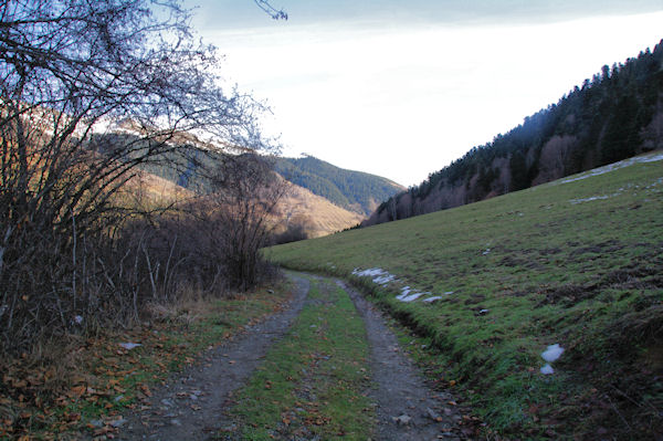 Le chemin vers Picades