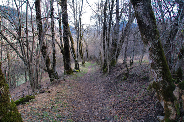 La Voie du Plan