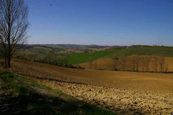 Le vallon du ruisseau de Cardayr