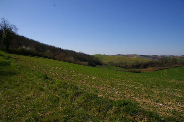 Le vallon du ruisseau du Bousquet