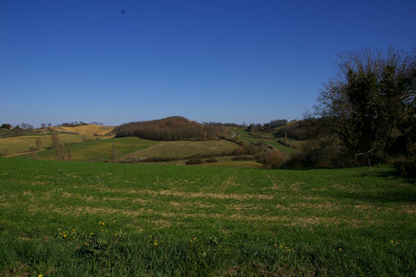 Le vallon du ruisseau du Hats