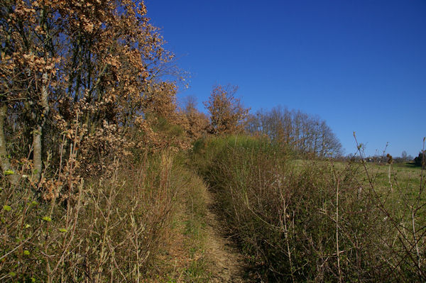 Le GR86 en remontant au dessus de Lapeyrouse