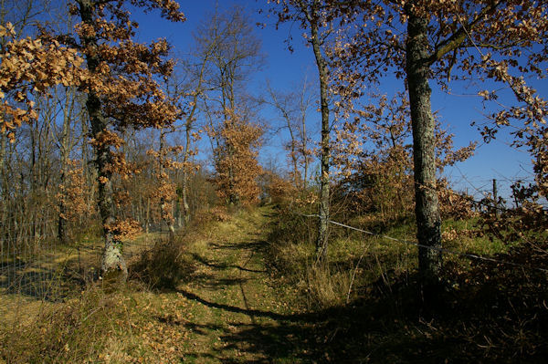 Le GR86 en remontant au dessus de Lapeyrouse