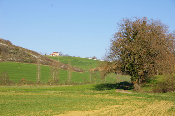 Dans le vallon du ruisseau de la Glas