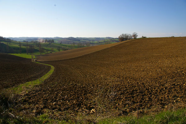 Le vallon du ruisseau de Jouanelon