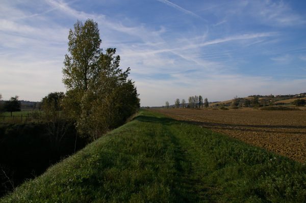 Les bords de la Saune