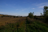 Les bords de la Saune