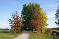 Paysages d'automne au bord du Lac du Val de Saune