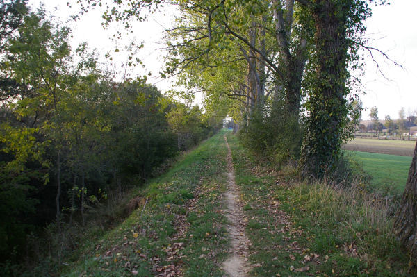 Le chemin au bord de la Saune