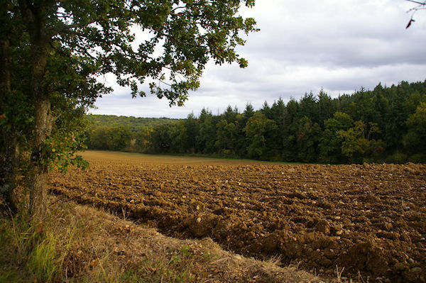 En descendant vers le ruisseau de Saverette