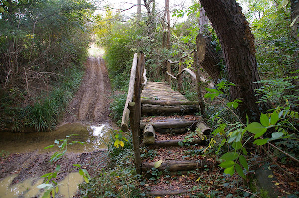 Le petit pont pour traverser le ruisseau de Saverette