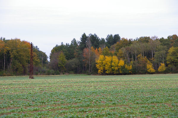 Couleurs d'automne  La Hillre sur le GR86