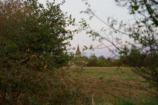 L'glise de Rieumes est en vue depuis Gratte Cuq