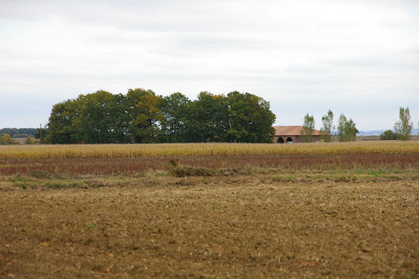 Bordeneuve depuis la sortie du Bois de la Hillre