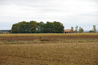 Bordeneuve depuis la sortie du Bois de la Hillre