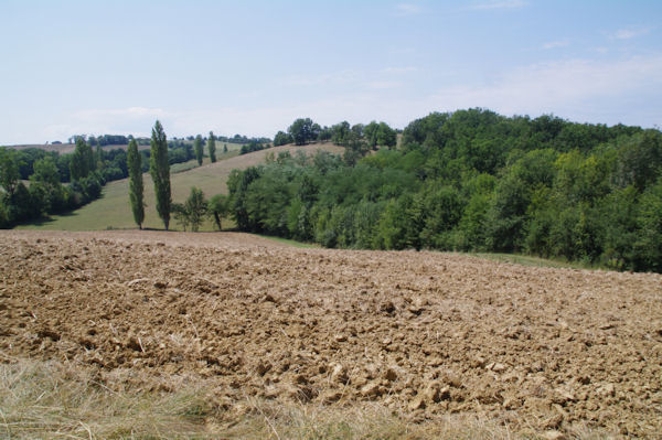 Labours au dessus de Pirolle